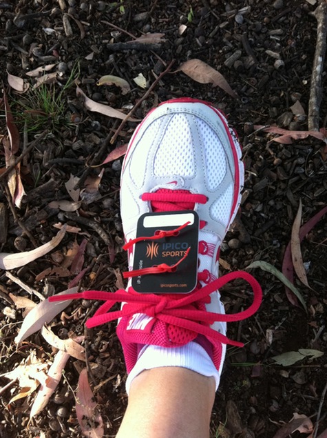 Brooks Spring Into Shape Series