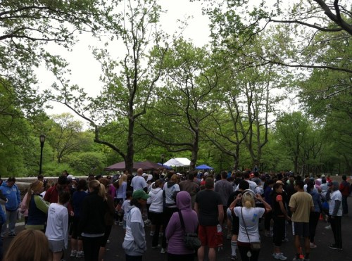 Melissa Fun Sun Run Melissa Fun Sun Run