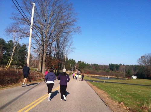 Tiger Trot Tiger Trot