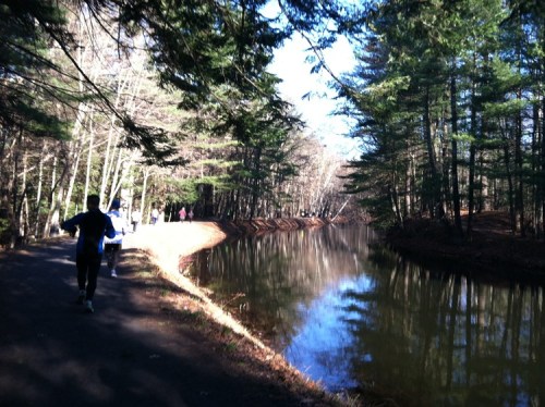 Wolf Hollow Half Marathon